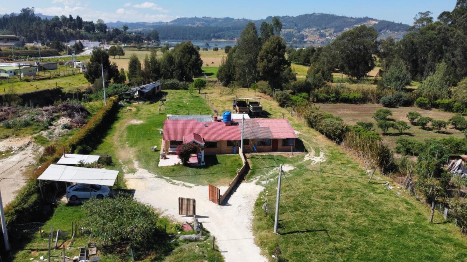 Pinzon Paipa